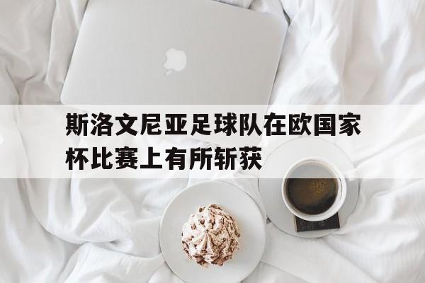 斯洛文尼亚足球队在欧国家杯比赛上有所斩获的简单介绍