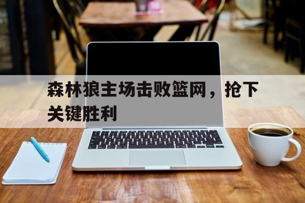 森林狼主场击败篮网，抢下关键胜利